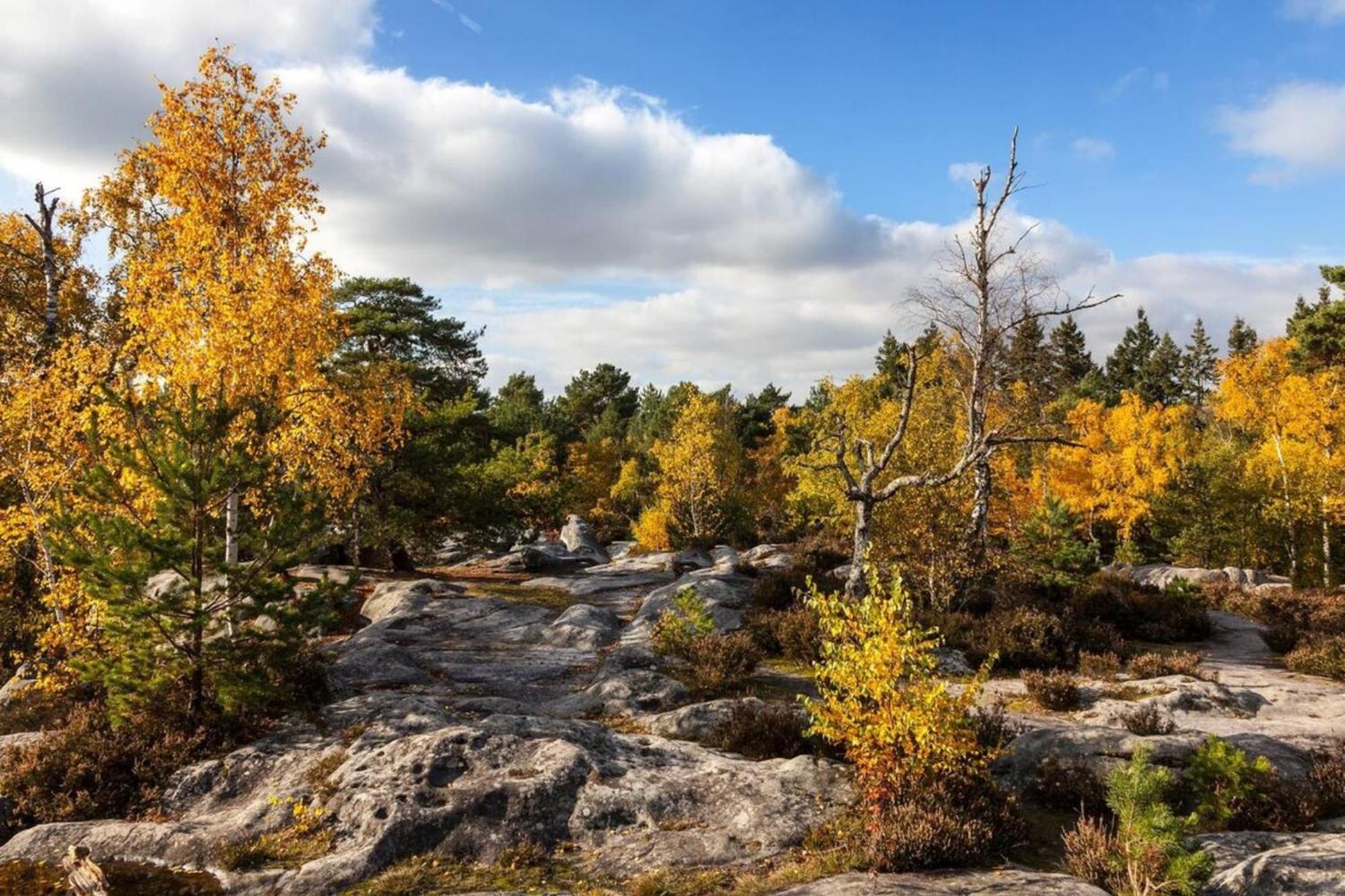 Fontainebleau Rue Grande - Chez Alexis Leilighet Eksteriør bilde